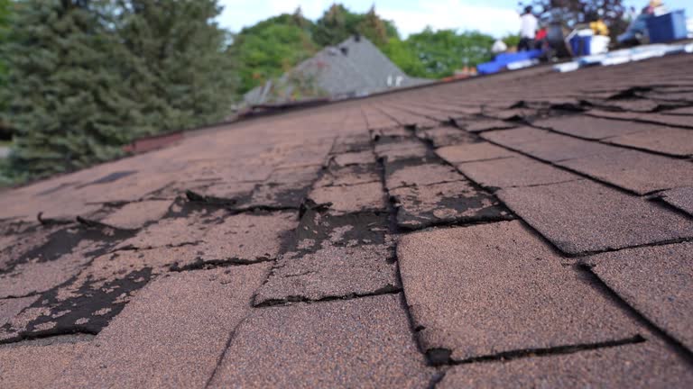 Best Roof Inspection  in Ely, IA