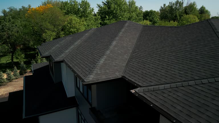 Best Asphalt Shingle Roofing  in Ely, IA