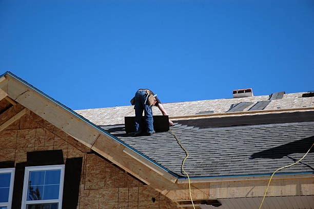 Best Roof Ventilation Installation  in Ely, IA