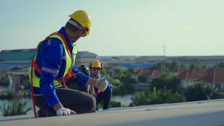Best Hot Roofs  in Ely, IA