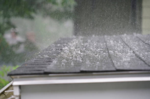 Best Asphalt Shingles Roofing  in Ely, IA