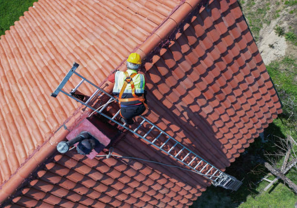 Best Roof Moss and Algae Removal  in Ely, IA