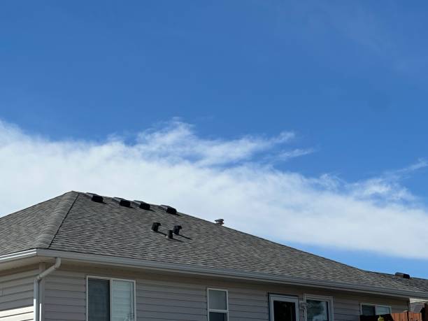 4 Ply Roofing in Ely, IA